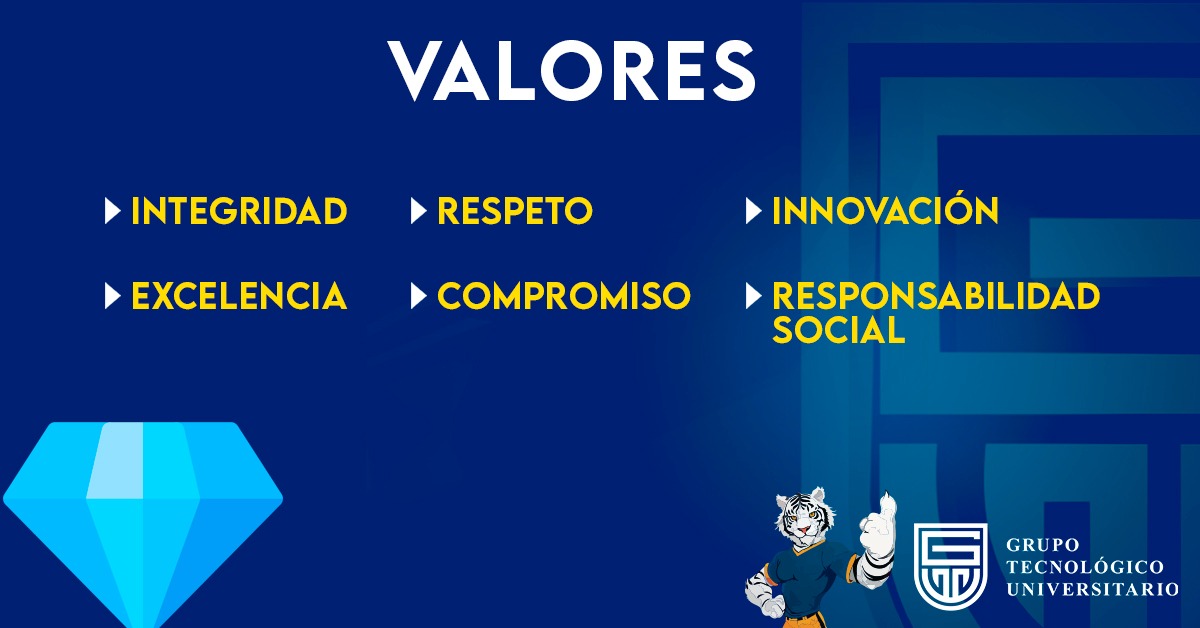 WhatsApp Image 2025-07-08 at 4.17.21 PM (1)